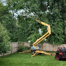 Lawn Drainage Solutions in Elwood, NY